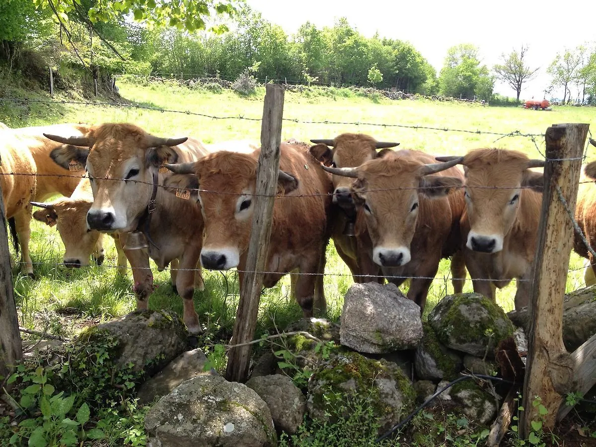 Bed & Breakfast Le Clos De Banes Argences-en-Aubrac